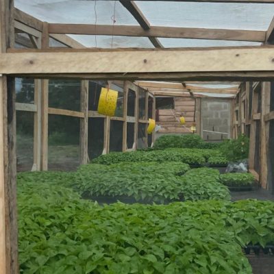 Jeg Edment Farms at 2.45.17 AM (3)