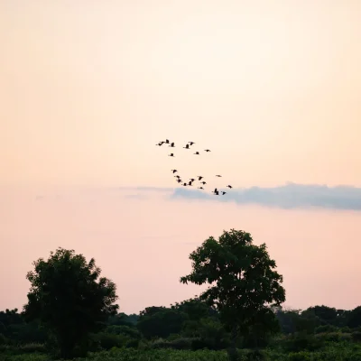 vhee_IMG-4957